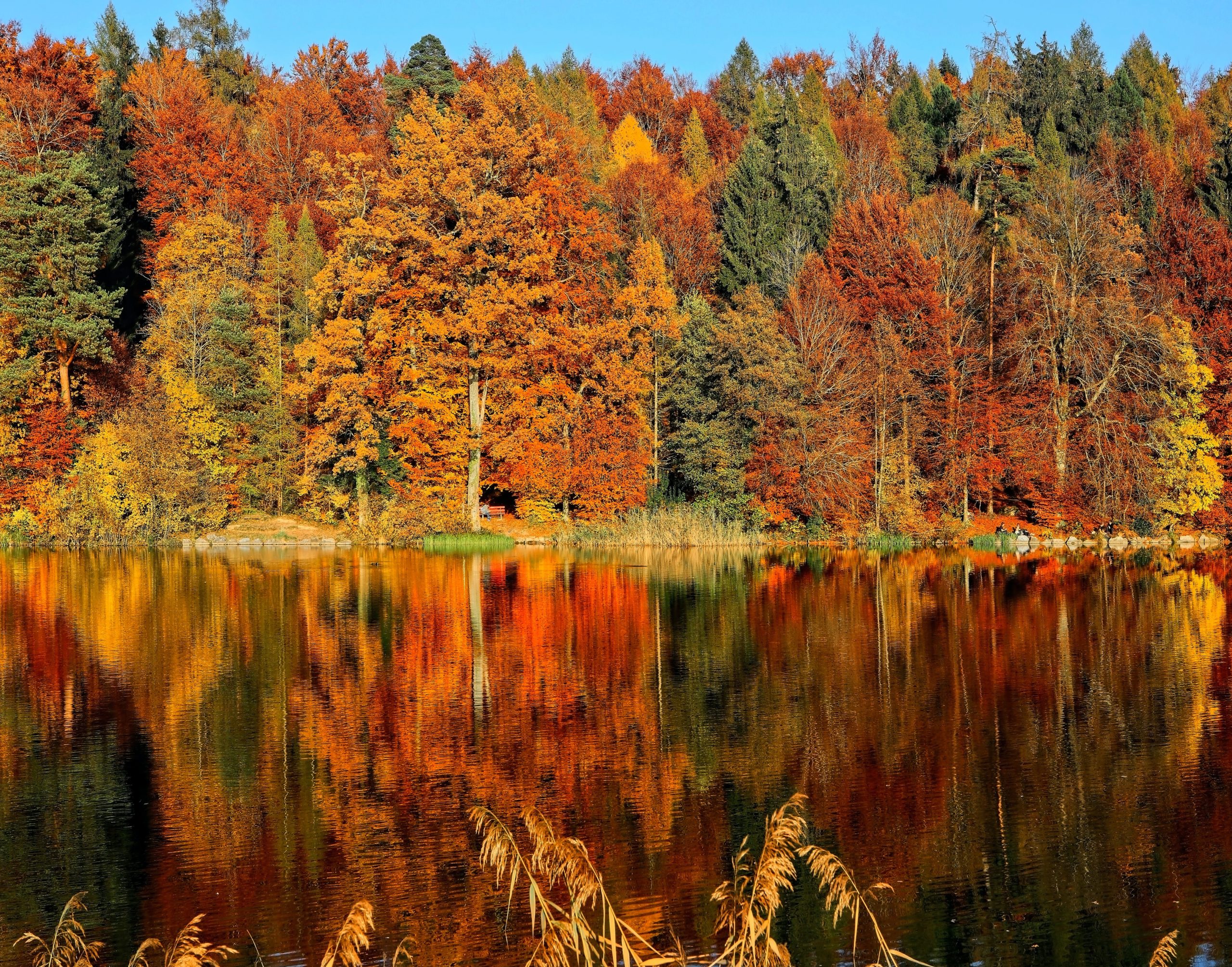 Featured image for “Höstmöte 21-22 oktober 2021”